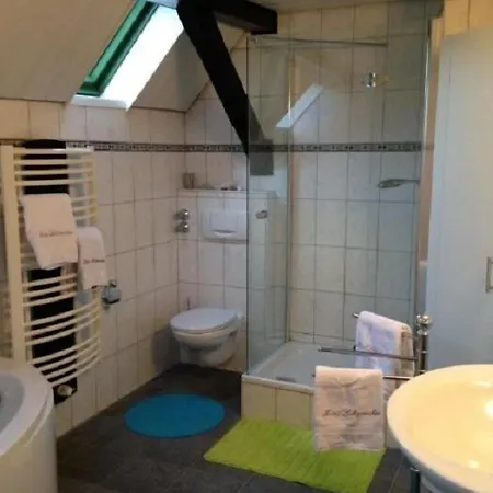 Pensión Boutique Hotel Lohspeicher 1839 3*